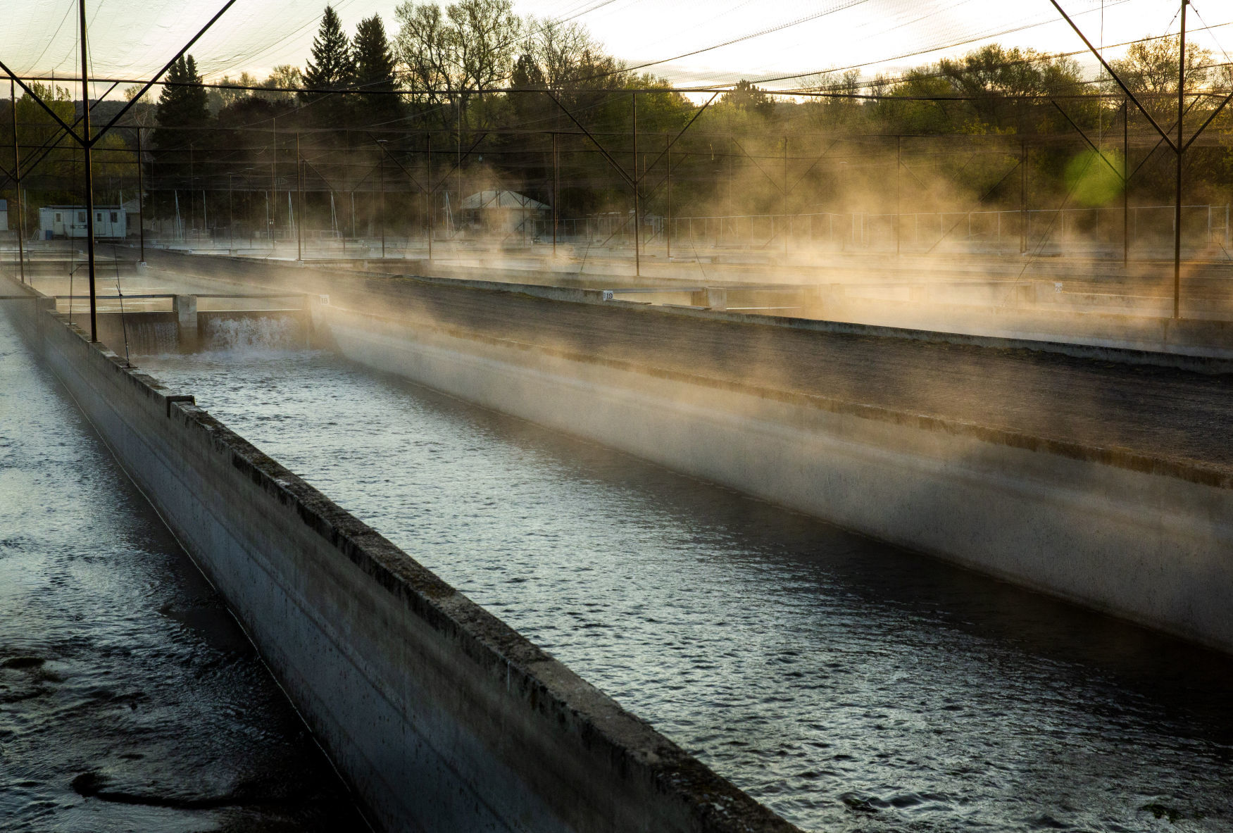 Aquaculture water